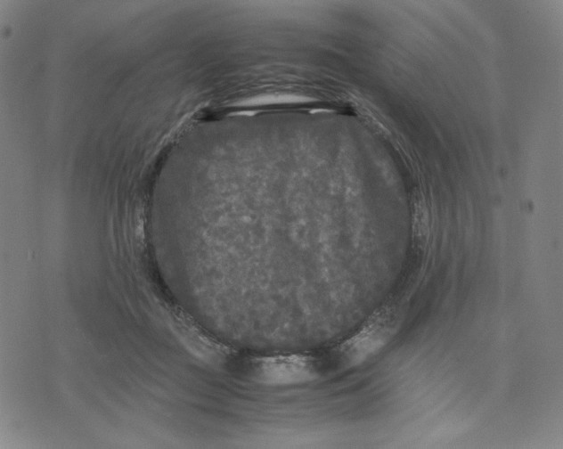 X0000071790363200607211628