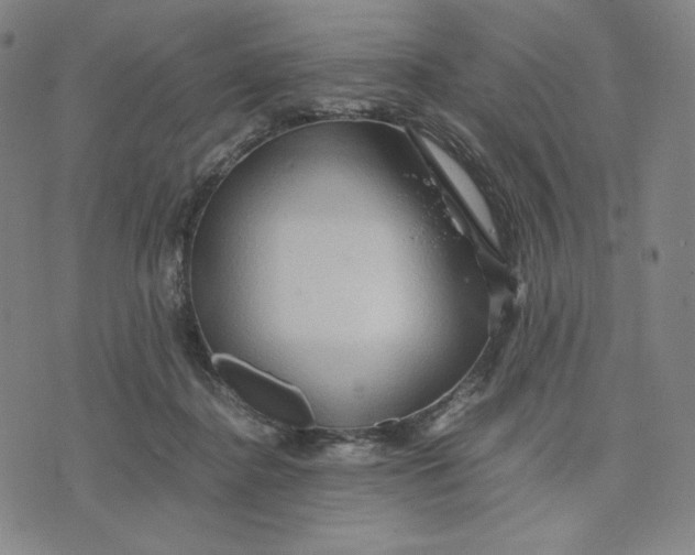 X0000071790364200607211628