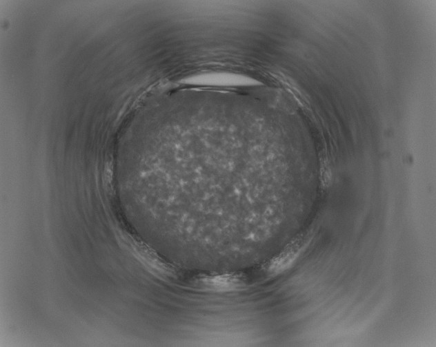 X0000071790365200607211628