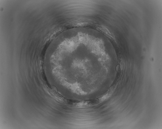 X0000071790366200607211628