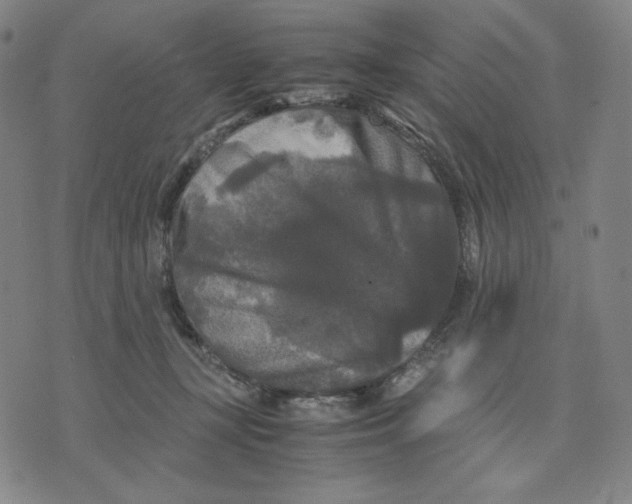 X0000071790367200607211628