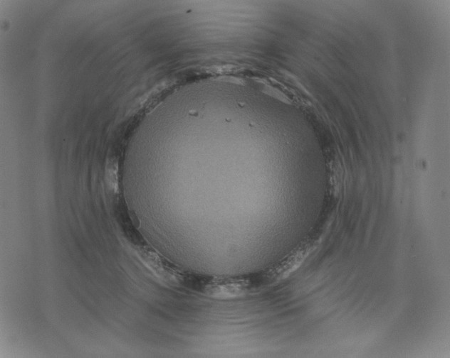 X0000071790368200607211628