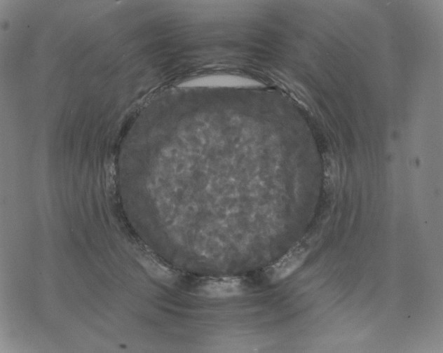 X0000071790369200607211628