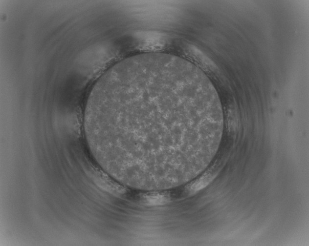 X0000071790370200607211628