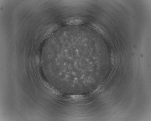 X0000071790371200607211628