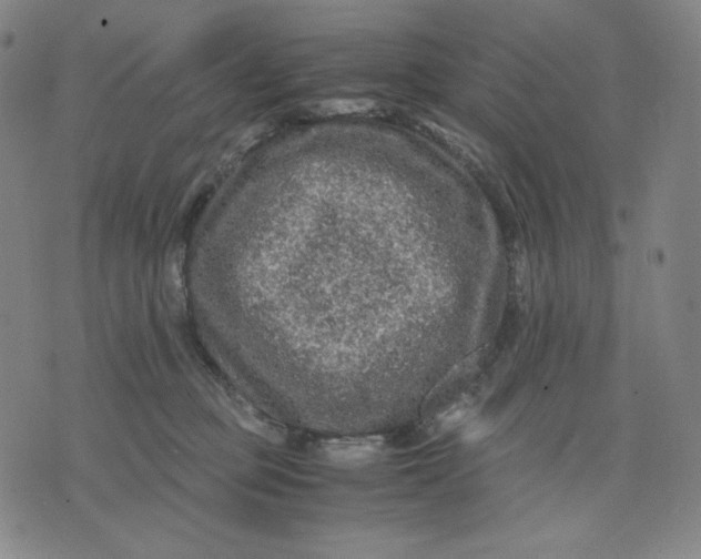 X0000071790373200607211628