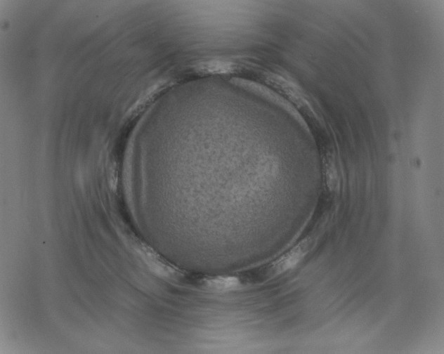 X0000071790374200607211628