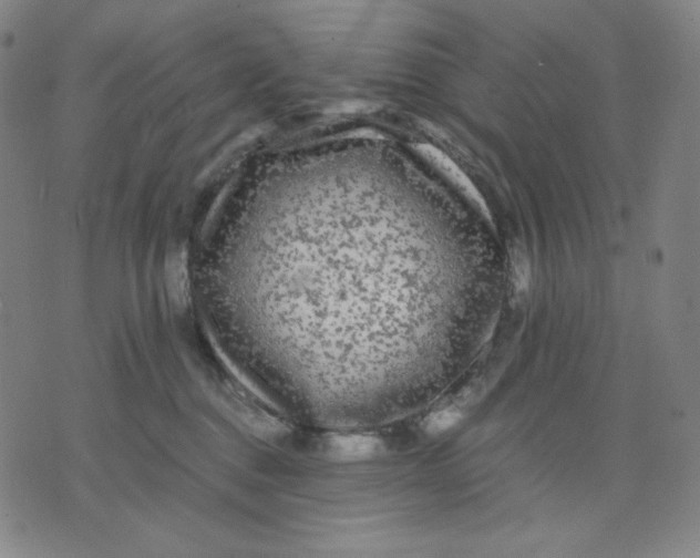 X0000071790376200607211628