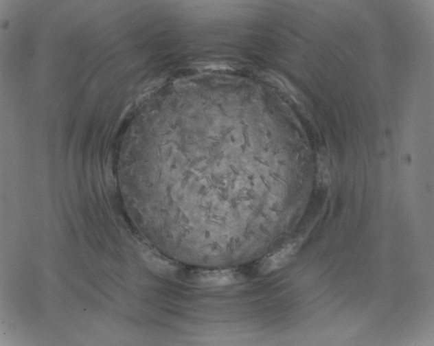 X0000071790377200607211628