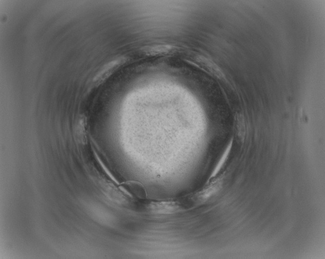 X0000071790378200607211628