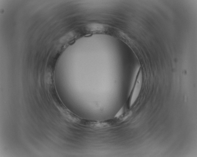 X0000071790379200607211628