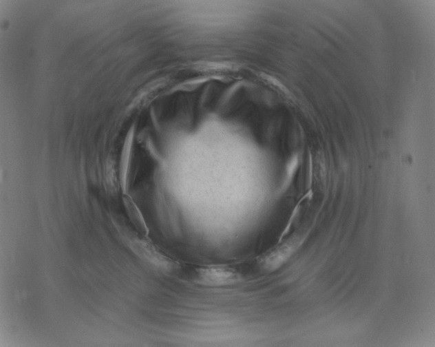 X0000071790380200607211628