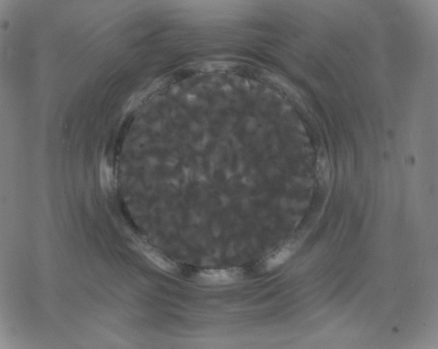 X0000071790381200607211628