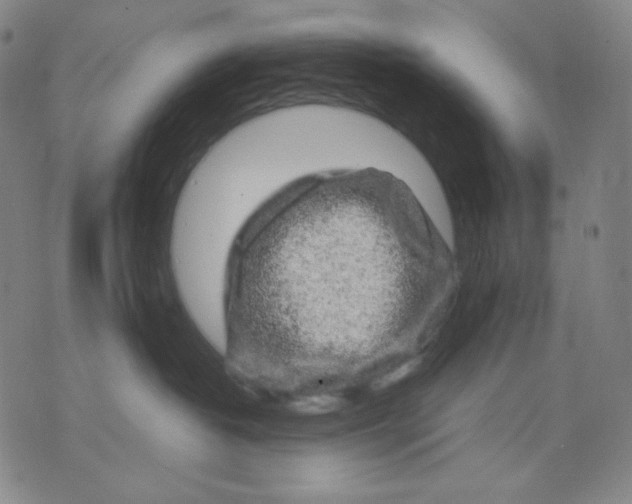 X0000071790382200607211628