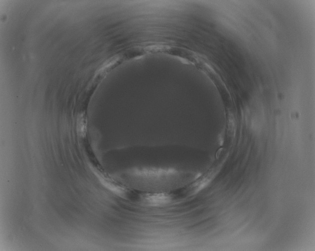 X0000071790383200607211628