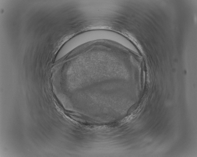 X0000071790385200607211627