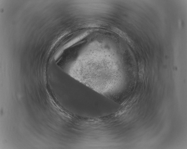 X0000071790386200607211627