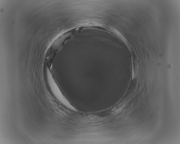 X0000071790387200607211627