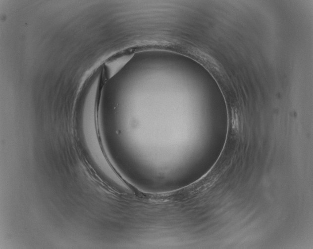 X0000071790388200607211627