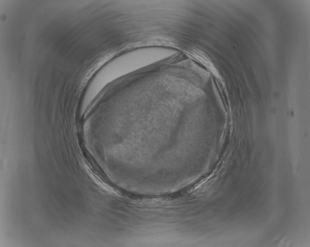 X0000071790389200607211627