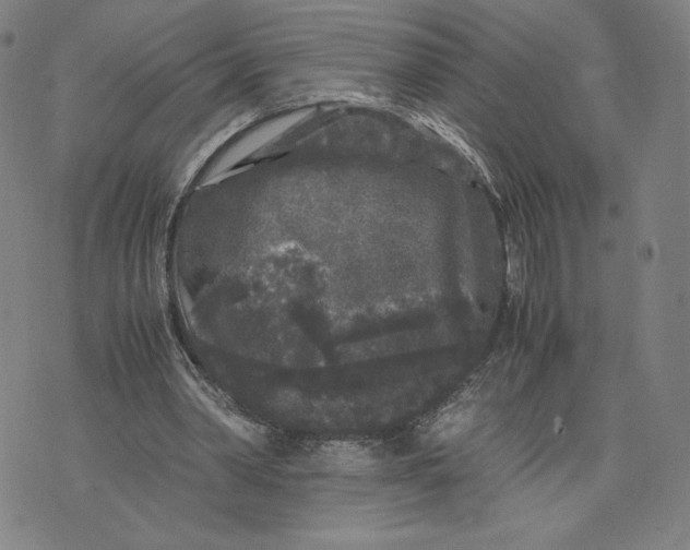 X0000071790390200607211627