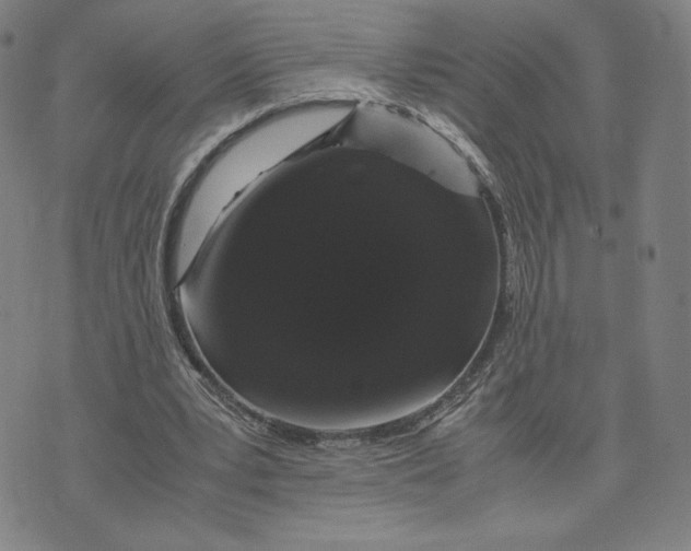 X0000071790391200607211627