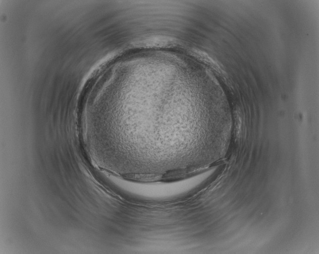 X0000071790392200607211627