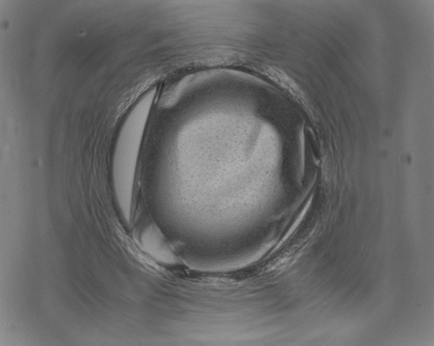 X0000071790393200607211627