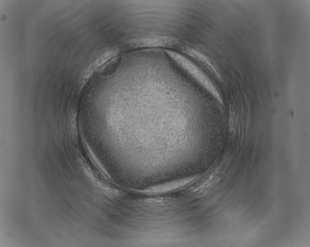 X0000071790394200607211627