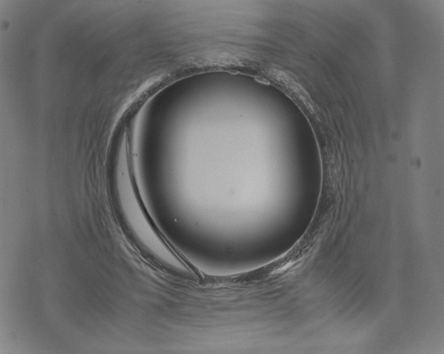 X0000071790395200607211627