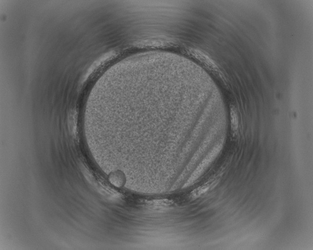 X0000071790396200607211627