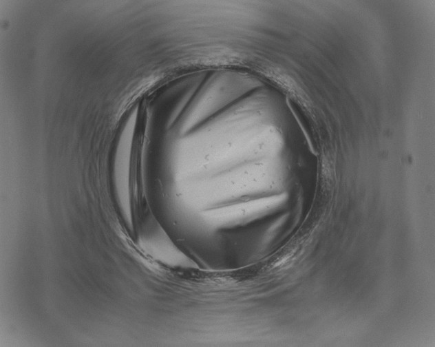 X0000071790397200607211627