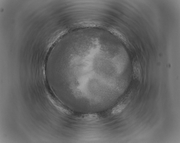 X0000071790398200607211627