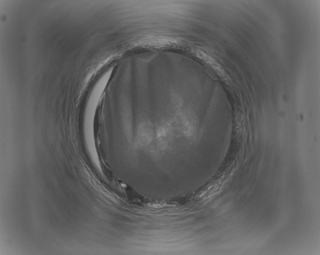 X0000071790399200607211627