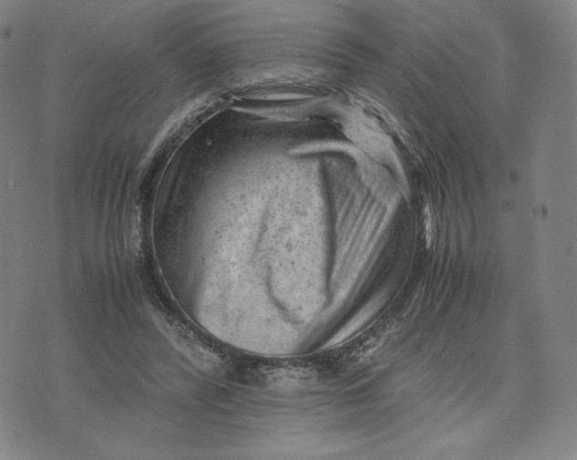 X0000071790400200607211627