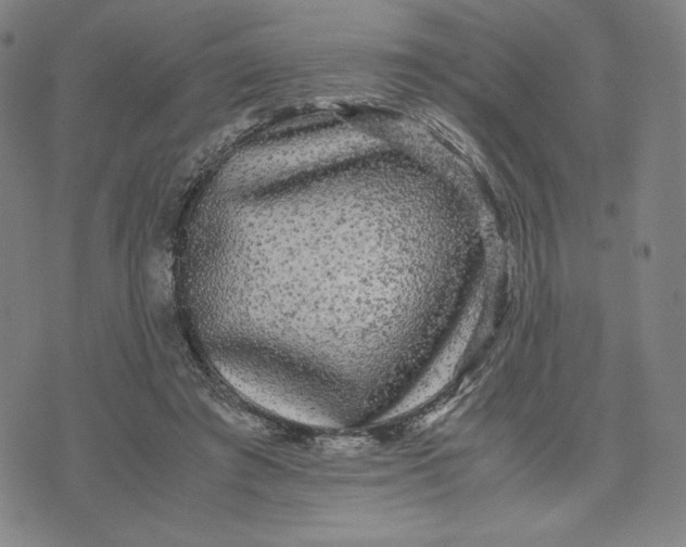 X0000071790401200607211627