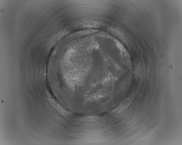 X0000071790402200607211627