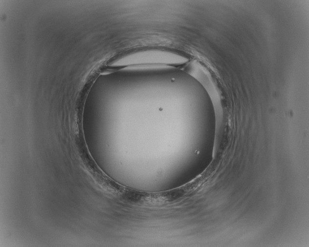 X0000071790403200607211627