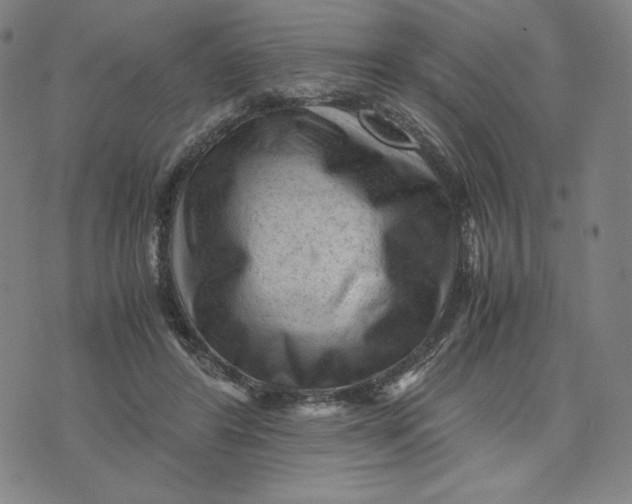 X0000071790404200607211627