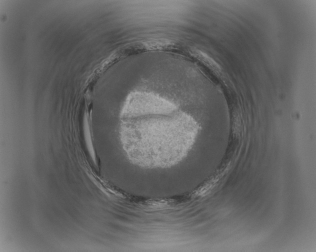 X0000071790405200607211627