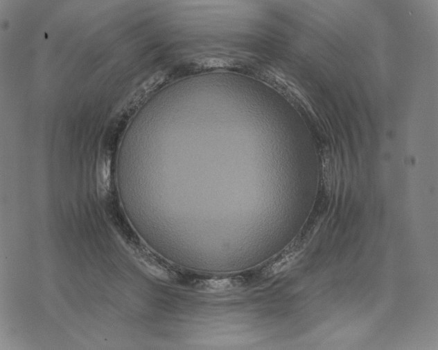 X0000071790406200607211627