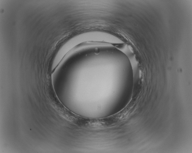 X0000071790407200607211627