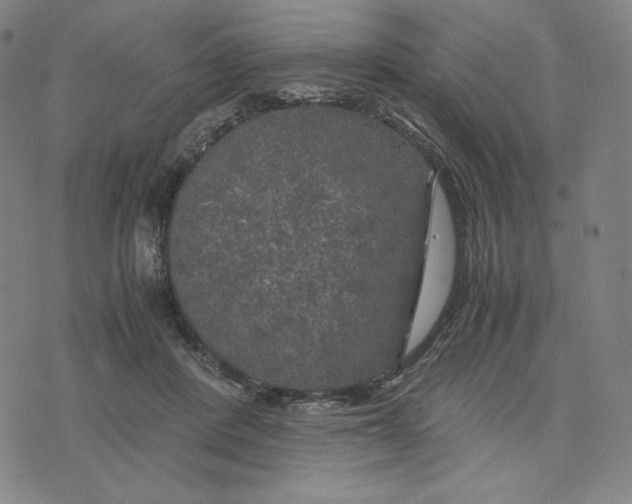 X0000071790408200607211627