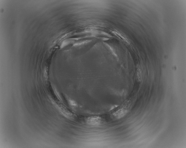 X0000071790410200607211627