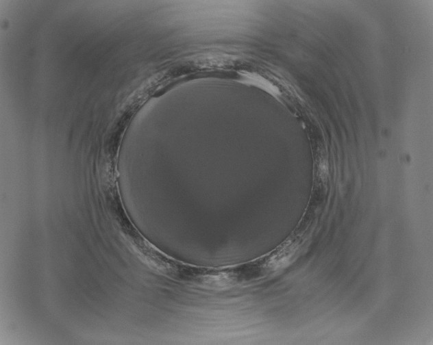 X0000071790411200607211627