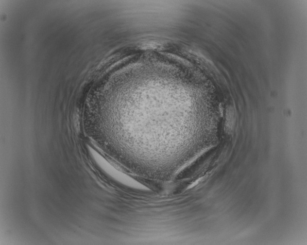 X0000071790413200607211627