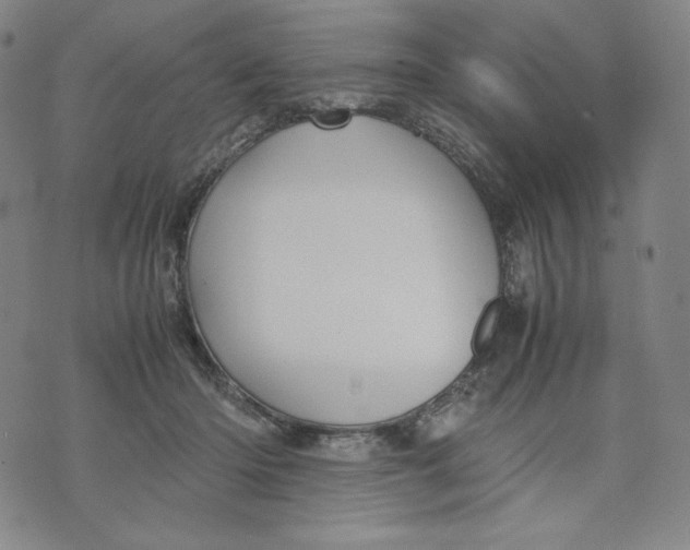 X0000071790414200607211627