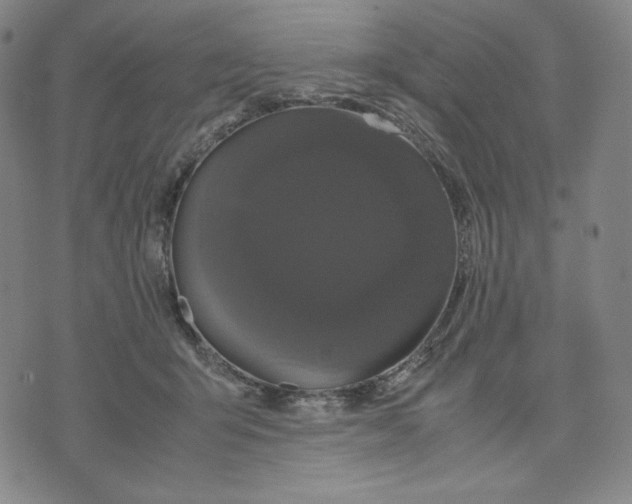 X0000071790415200607211627