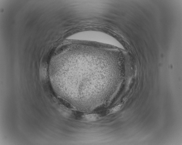 X0000071790417200607211627