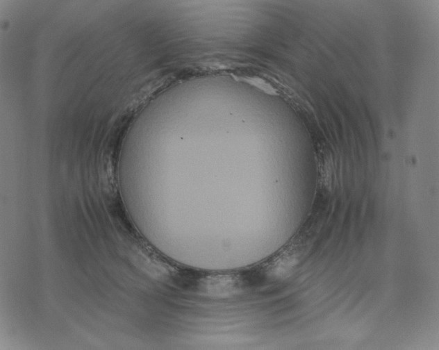 X0000071790418200607211627